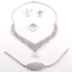Rhodium Plated Necklace Set 