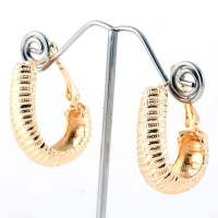 Fashion Hoop Earrings