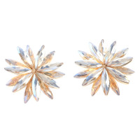 Crystal Post Earrings