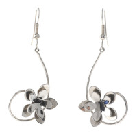 Stainless Steel Hook Earrings