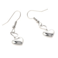 Silver Plated Hook Earrings